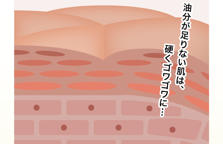 油分が足りない肌は、硬くゴワゴワに…