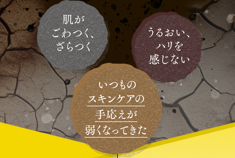 肌がごわつく、ざらつく
うるおい、ハリを感じない
いつものスキンケアの手応えが弱くなってきた