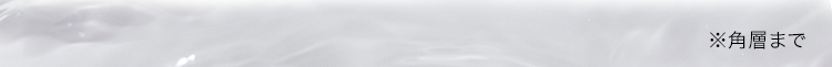 ※角層まで