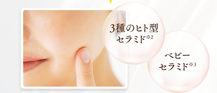 ３種のヒト型セラミド※2
ベビーセラミド※３