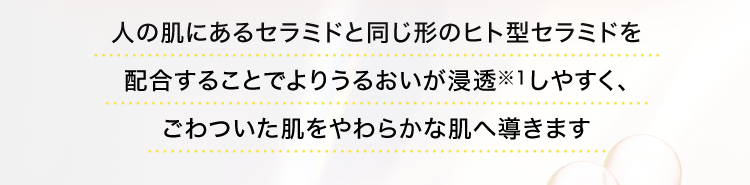 人の肌にあるセラミドと同じ形のセラミドを配合することでよりうるおいが浸透※しやすく、ごわついた肌をやわらかな肌へ導きます
