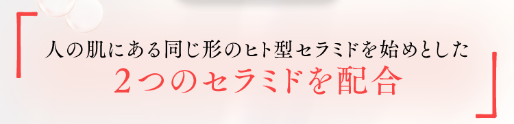 人の肌にある同じ形のヒト型セラミドを始めとした２つのセラミドを配合